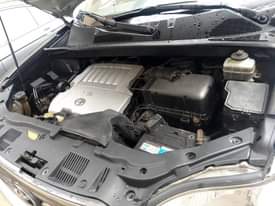 A picture of Highlander
