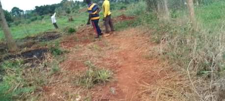 A picture of 1 acre Kibanja at 6 5m Luwero Mulungi Omu village