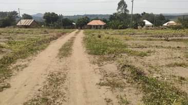 A picture of PLOTS LOCATED BULAMU MITYANA ROAD