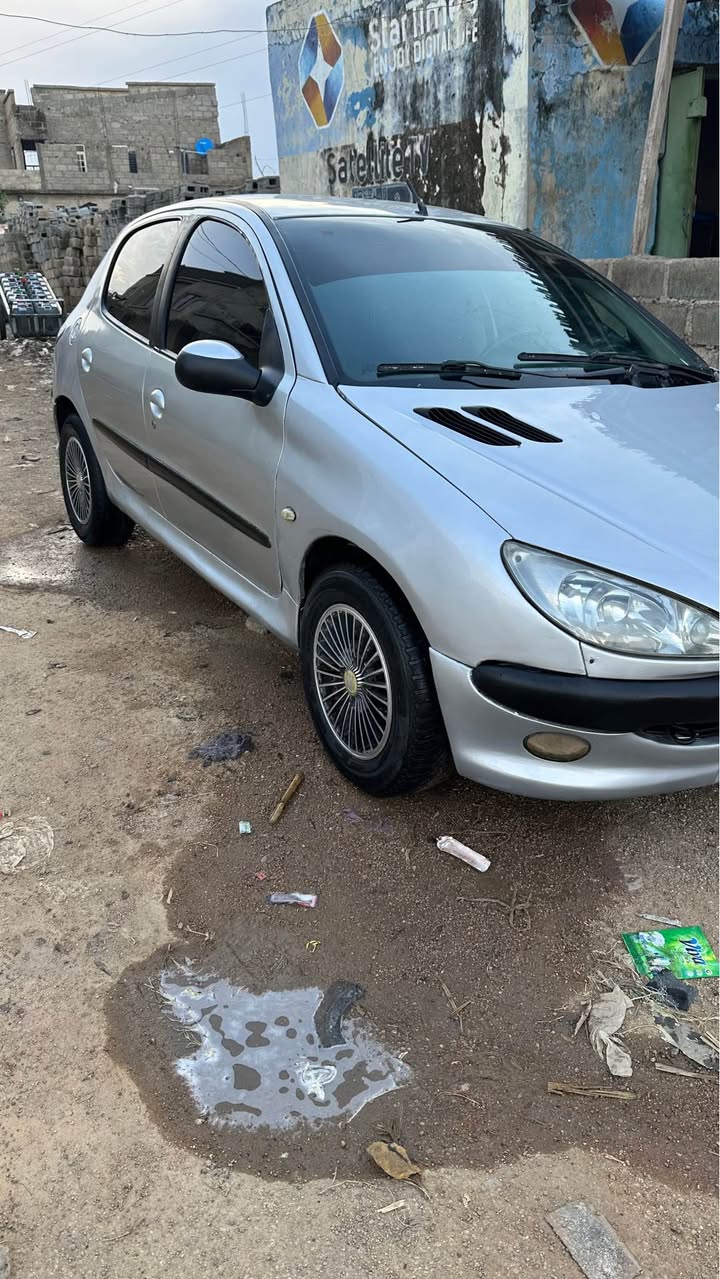 A picture of Sari Sari Clean 206 Manual