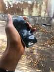 A picture of IPHONE 6 BETRI 100 Fingerprint Camera umeme
