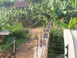 A picture of Electric and razor fence