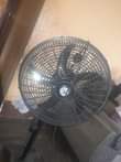 A picture of Feni ya soyi