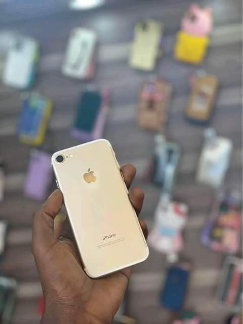 A picture of Iphone 7 plain gb 256