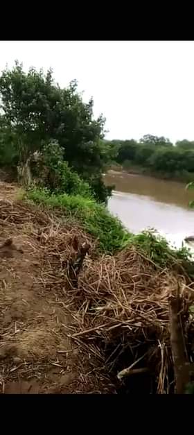 A picture of SHAMBA HEKA 10 ZA MTONI ZINAUZWA