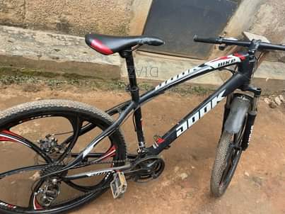 A picture of Mountain BIKE