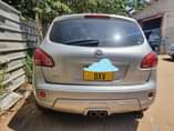 A picture of Nissan dualiz
