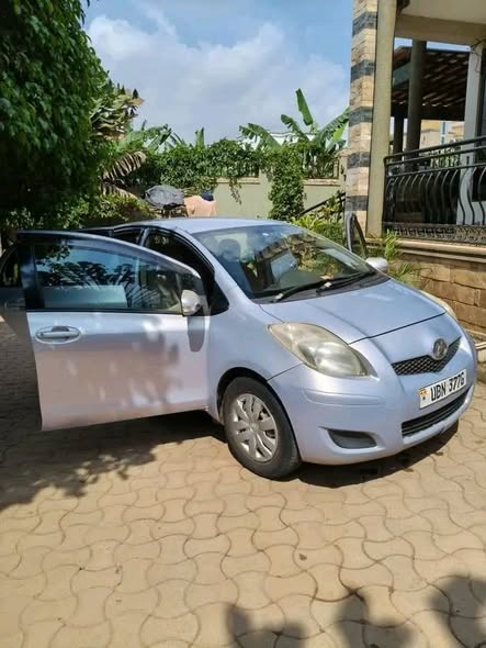 A picture of vitz