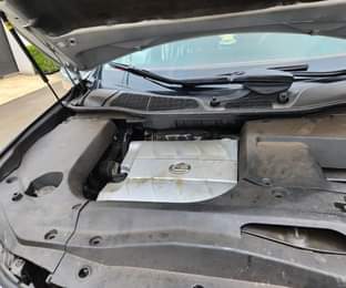 A picture of LEXUS RX350