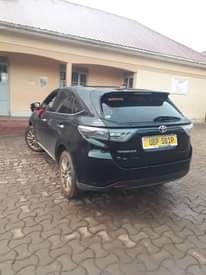 A picture of Harrier Kawundo