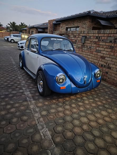 vw beetle