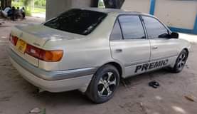 A picture of Premio corona