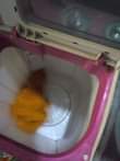 A picture of Washing machine 6kg