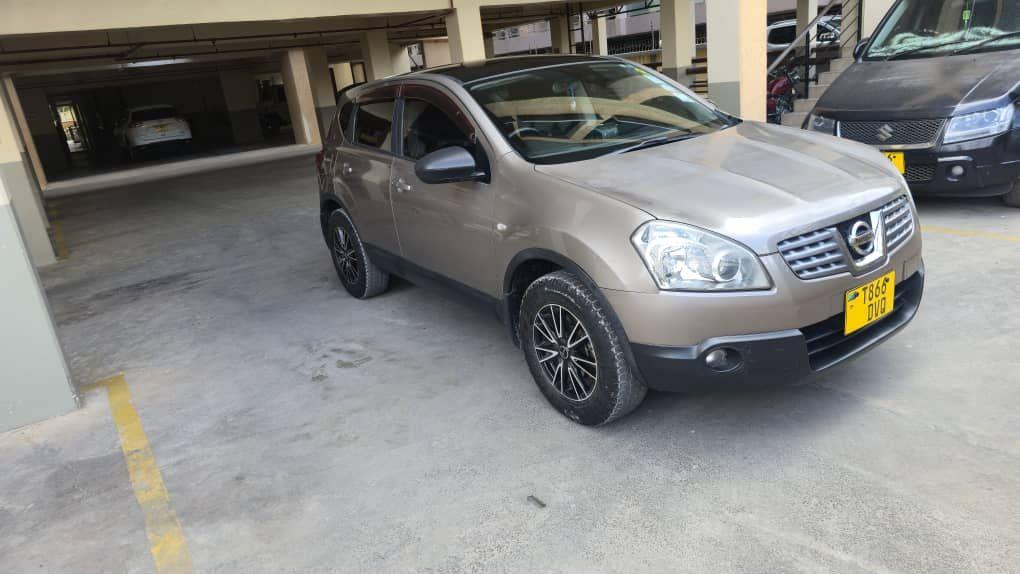 A picture of Nissan dualis