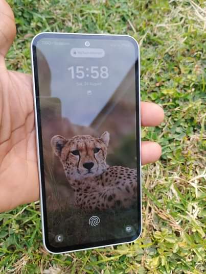 A picture of Samsunga galaxy A54 5G