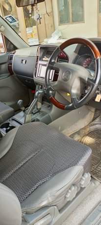 A picture of Pajero
