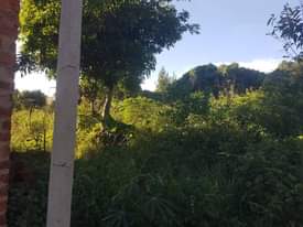 A picture of PLOT IN NSAGGU