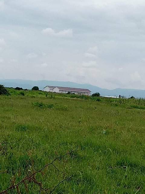 kiwanja