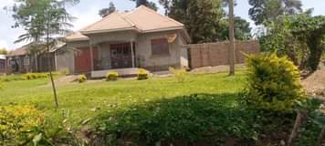 Ssenyonga B.