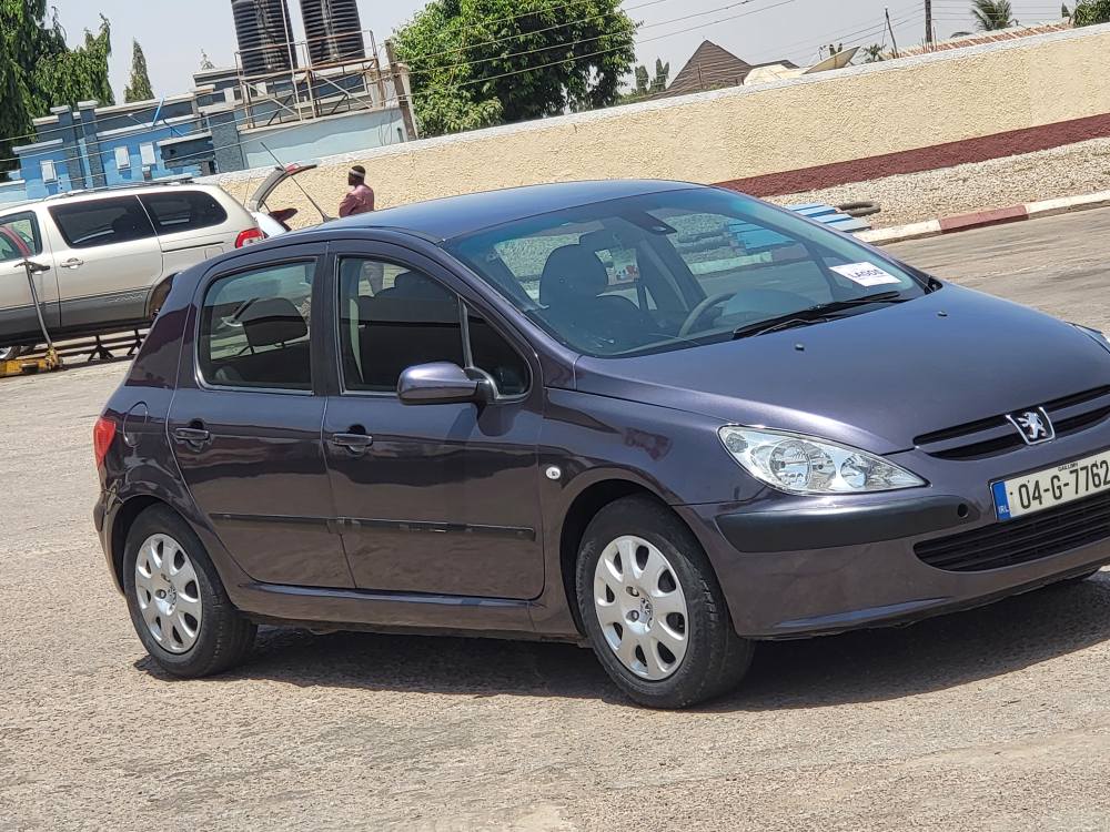 A picture of PEUGEOT 307