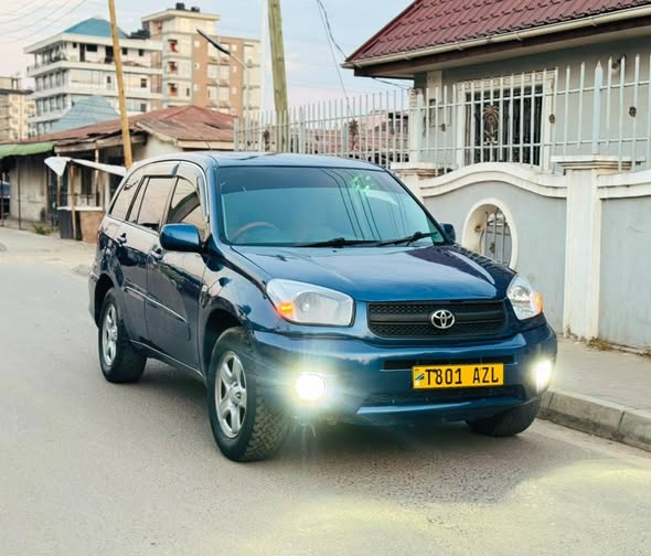 A picture of RAV4 KILLTIME