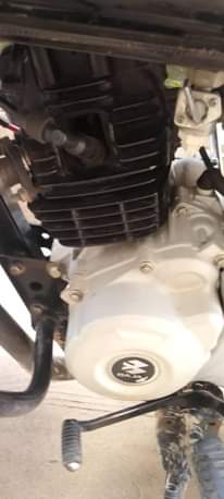 A picture of Boxer bm 125 kijora