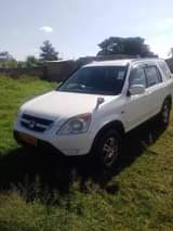 used honda crv