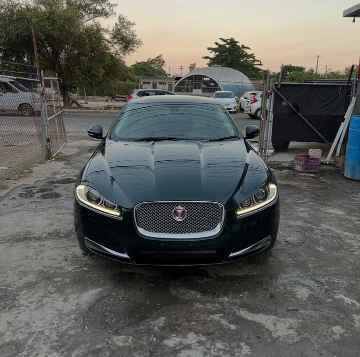 jaguar