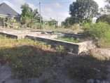 A picture of Eneo linauzwa million 4