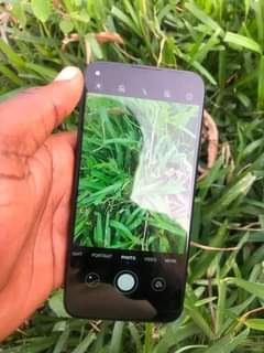 huawei p40