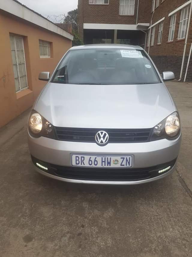 polo vivo