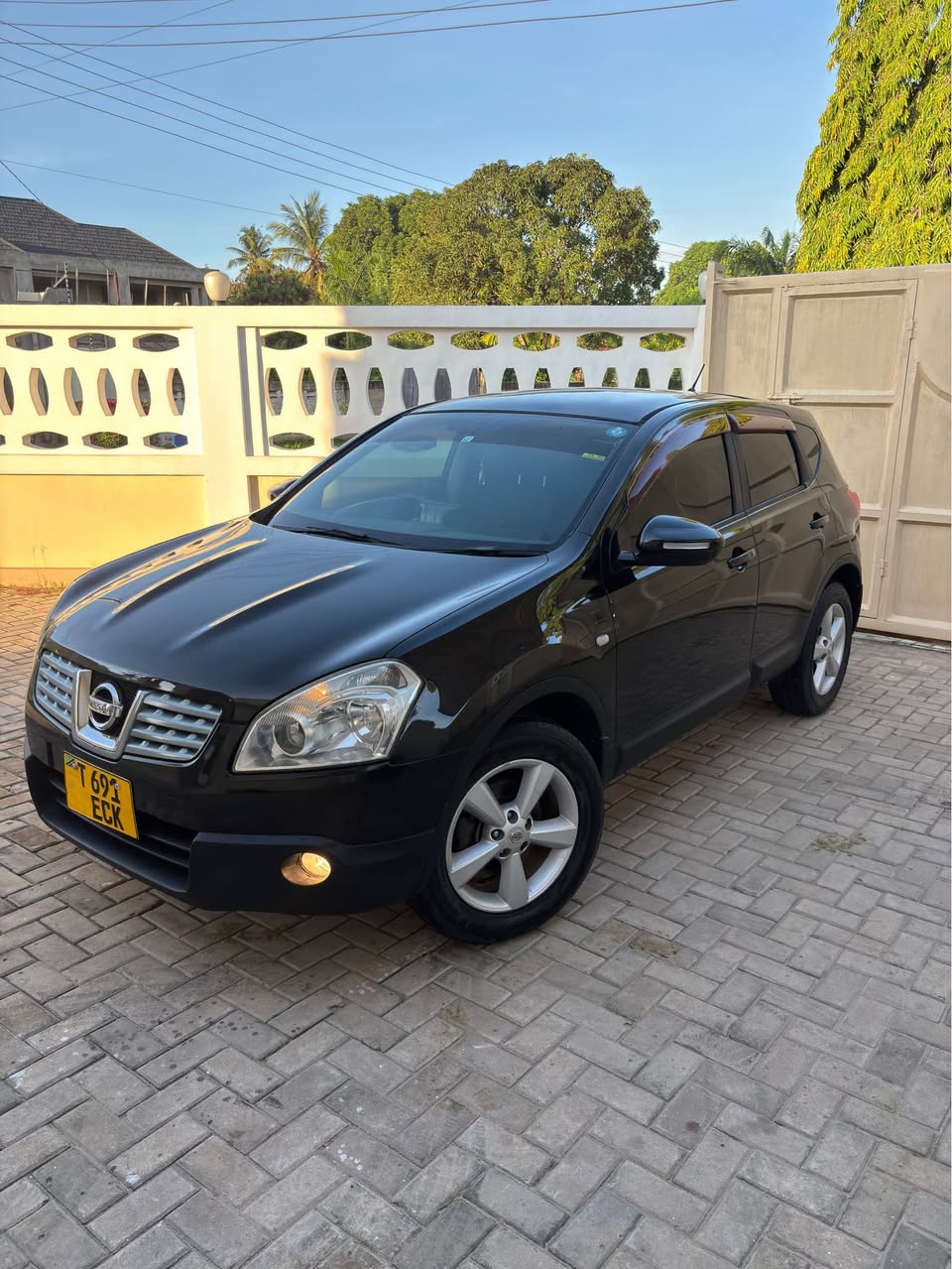 A picture of Nissan dualis