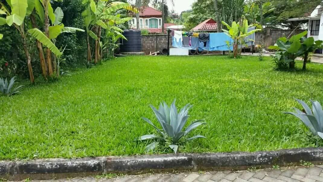 houses runda