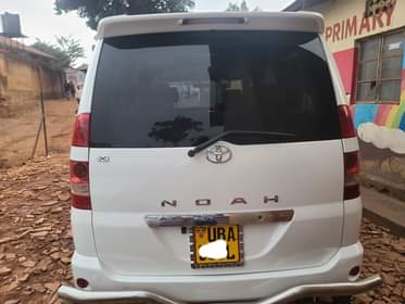 A picture of Noah 16m 0777850595 0751539549 Perfect ride