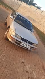 A picture of Toyota kikumi at 5 5m only cal 0709633379