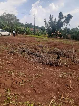 A picture of For both commercial and Residential plots 8m 45m along Hoima