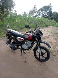 A picture of Boxer x125