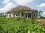 A picture of 67m PEOPLE WHO HAVE BIG FAMILY USE THIS OPPORTUNITY TO