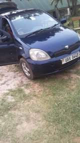 A picture of Vitz ..