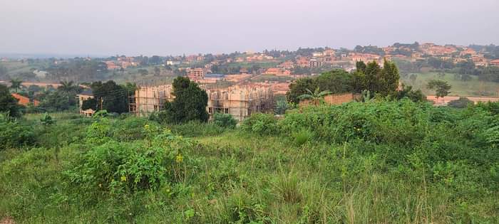 A picture of Najjera buwate 25decimals 100x100feet plot Hill Top 250million 0705783434