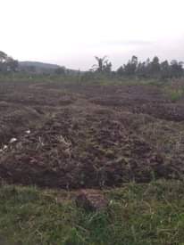 A picture of Plot for sale