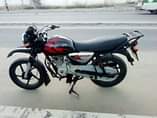 A picture of BOXER GIA 5 TANO IPO TANDIKA