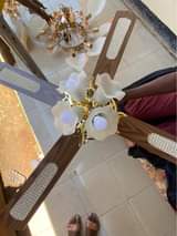 A picture of Ceiling Fan With Lights For Sale