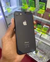 Apple K.