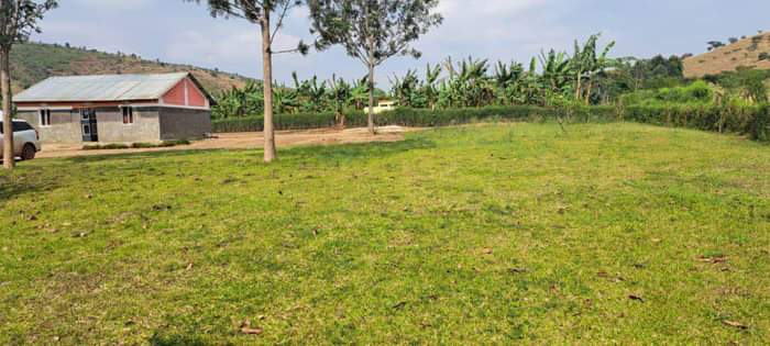 A picture of Rwenjeru