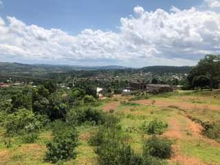 houses kitende