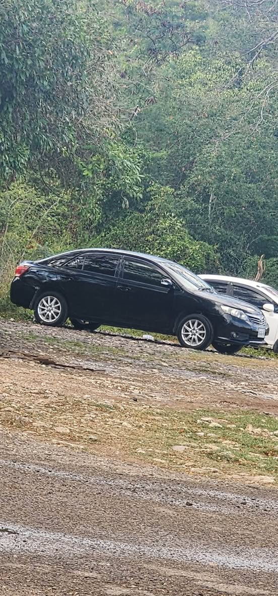 used toyota allion