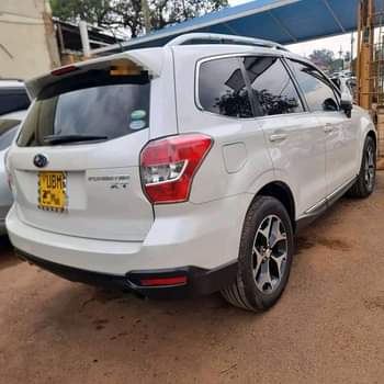A picture of Forester XT 2014 43M