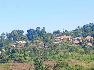 A picture of  MATUGGA KIWEBWA CITY SITE All installments allowed 40x20ft...... ............