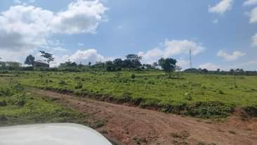 A picture of 50 by 100ft Plots For Sale GOBERO HOIMA ROAD with